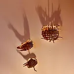 Historic Center - 5 Mins Airport-airbus-meett Appartement