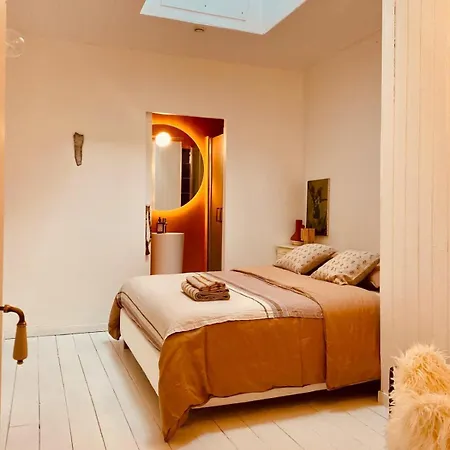 Historic Center - 5 Mins Airport-airbus-meett * Blagnac