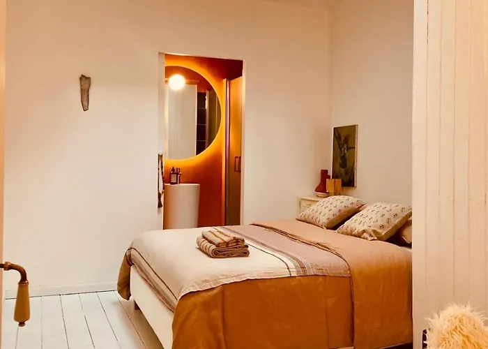 Historic Center - 5 Mins Airport-airbus-meett * Blagnac