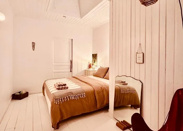 Historic Center - 5 Mins Airport-airbus-meett Blagnac